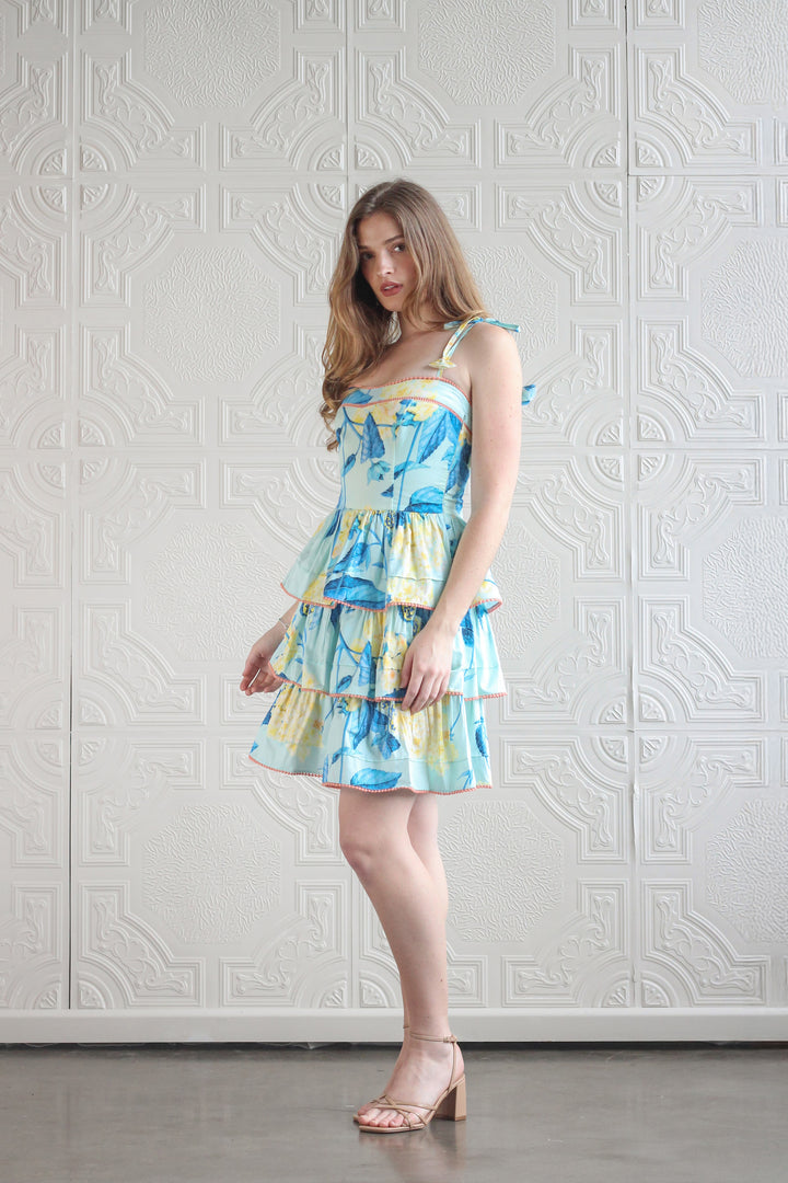 Bustier Mini Dress in Sardi Wild Flower