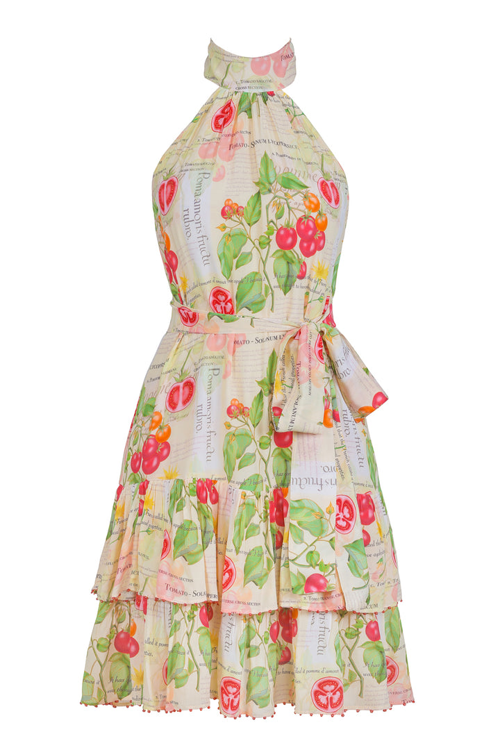 Halter Mini Dress in Tomato Anatomica