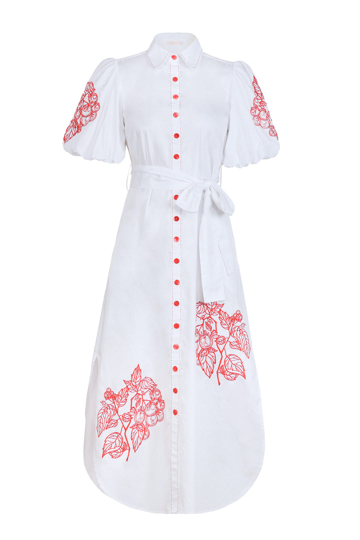 Puff Sleeve Shirt Dress in Tomato Anatomical