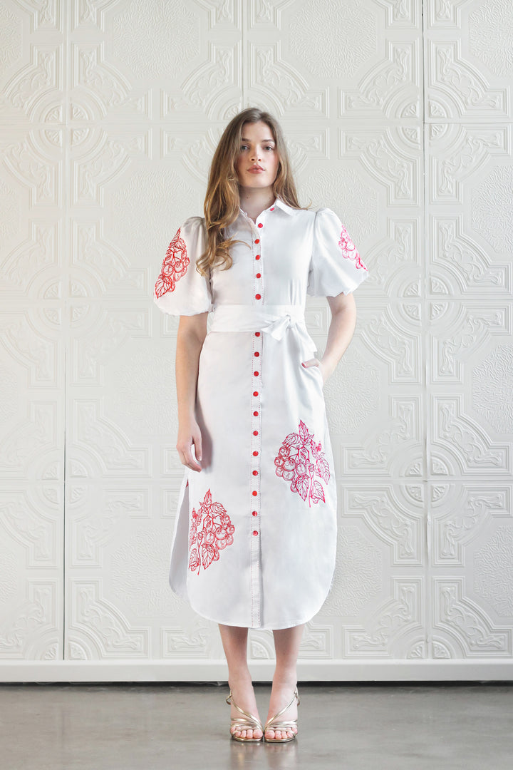 Puff Sleeve Shirt Dress in Tomato Anatomical